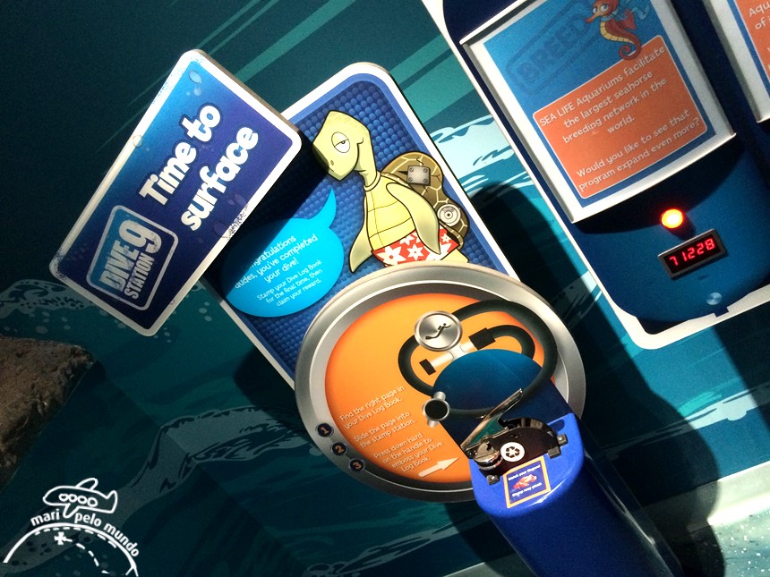 Visitando o Sea Life Aquarium em Orlando (3)