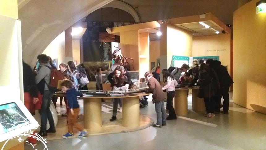 Palais de la Decouverte (7)