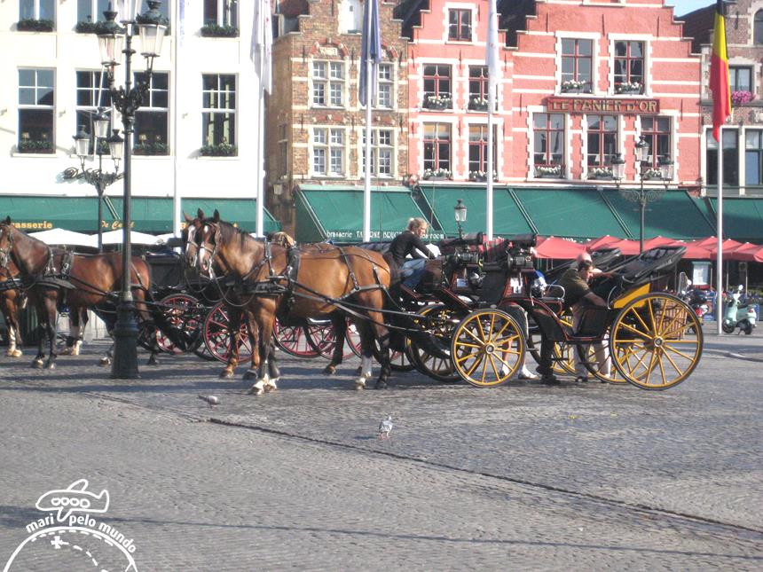 8 - Passeios de charrete