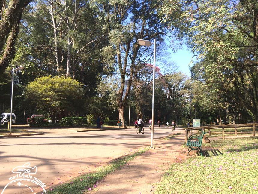 Caminhar, pedalar ou correr