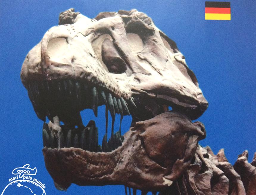 6 - Museu Senckenberg (Copy)