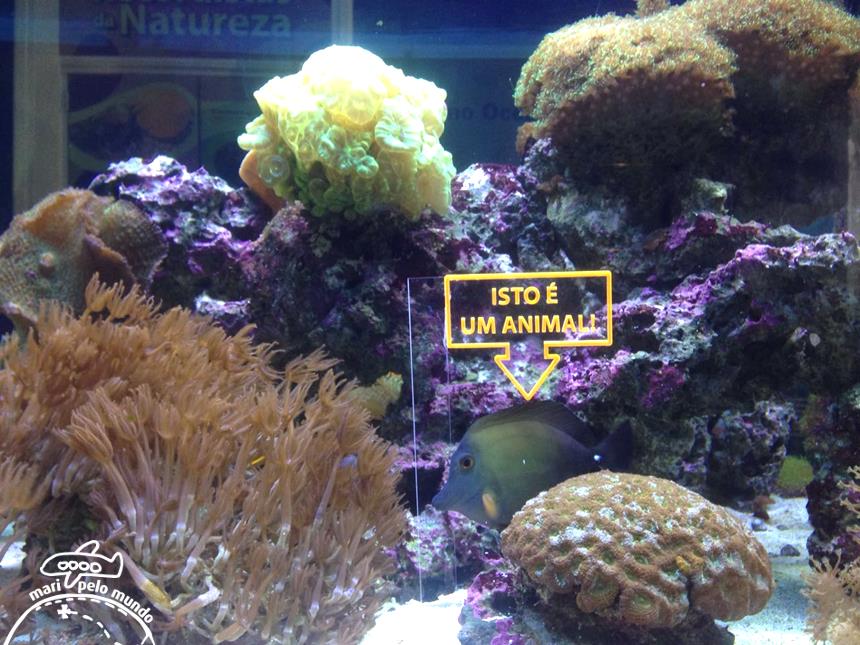 Catavento Cultural (3)