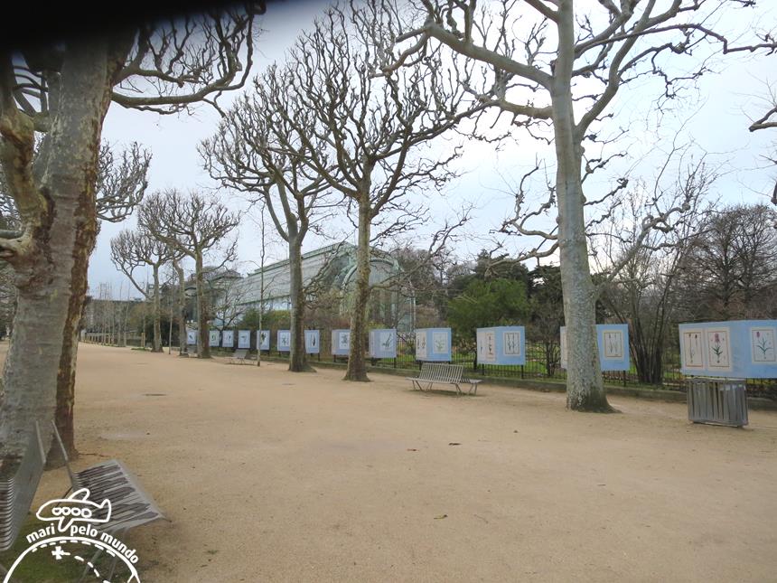 Jardin des Plantes (2)