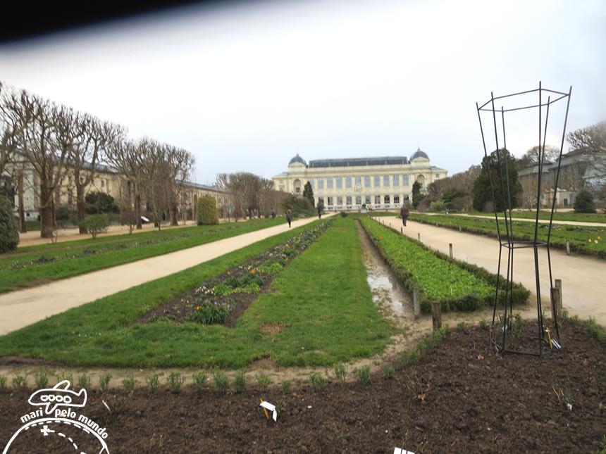 Jardin des Plantes (3)