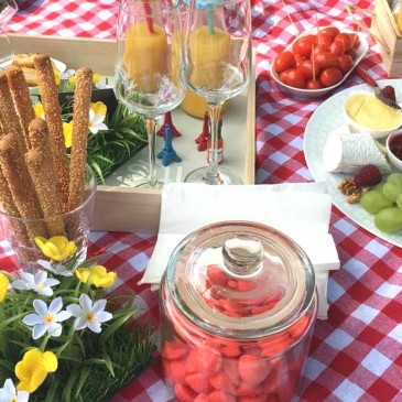 Pique Nique em Paris Parisabor