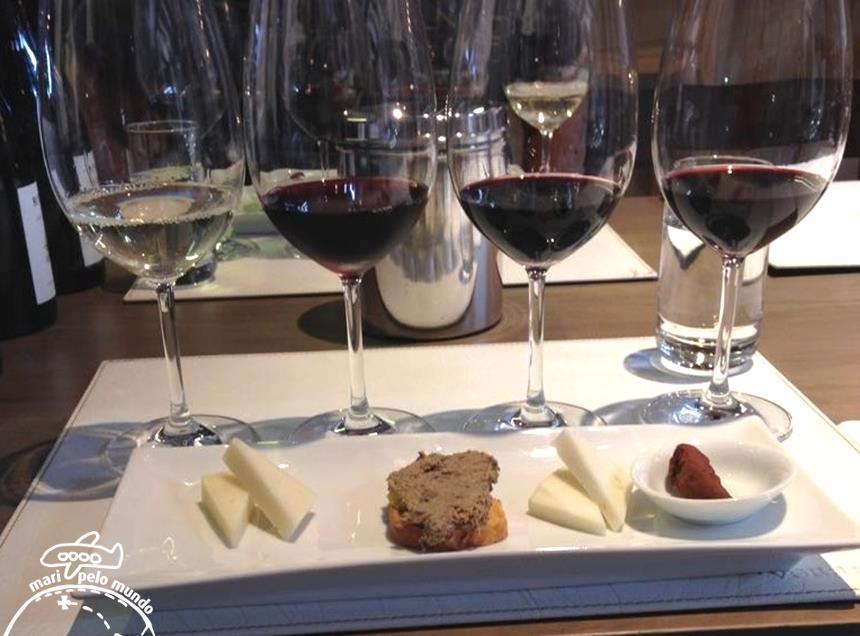 Viniculas no Chile Veramonte (4) (Copy)