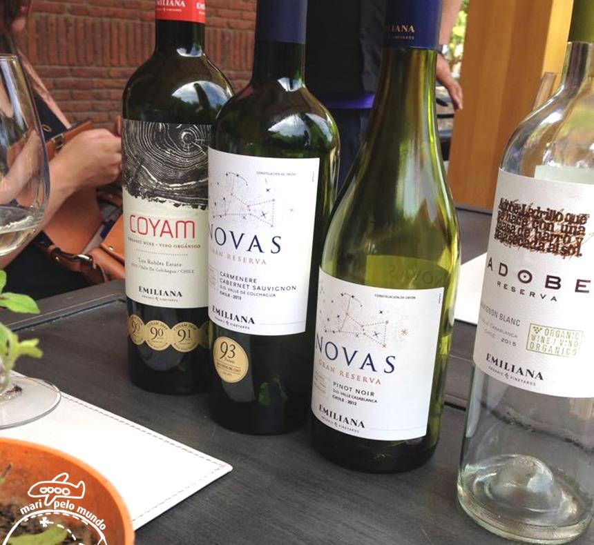 Viniculas no Chile Veramonte (8) (Copy)