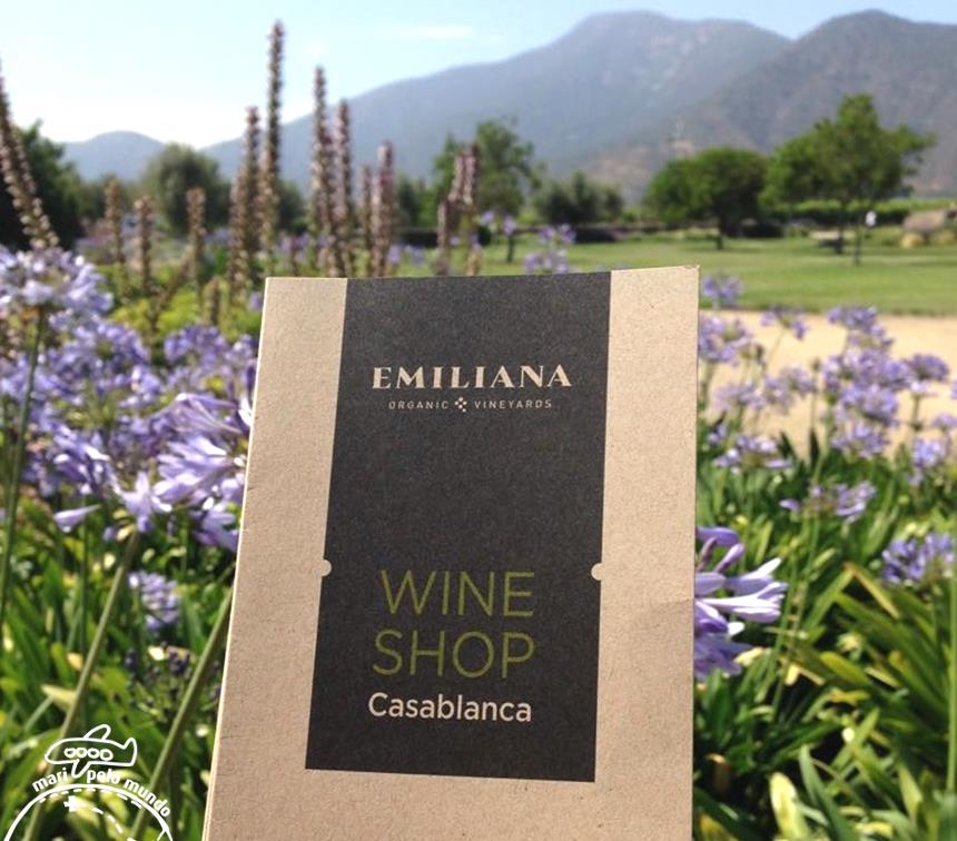 Viniculas no Chile Veramonte (9) (Copy)