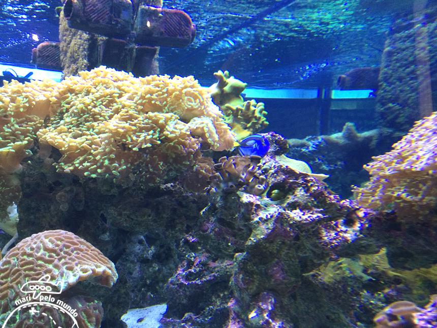 7-o-fundo-do-mar-copy