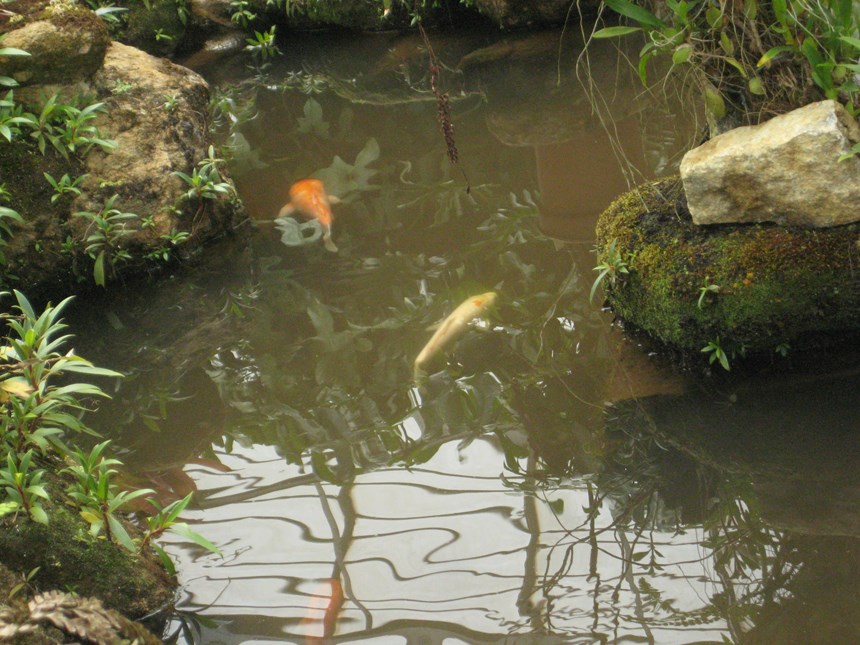 13-jardim-botanico-copy