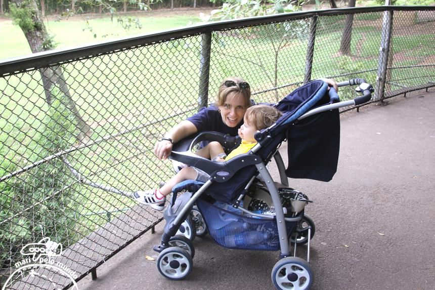 7-carrinho-peca-obrigatoria-na-nossa-bagagem-copy