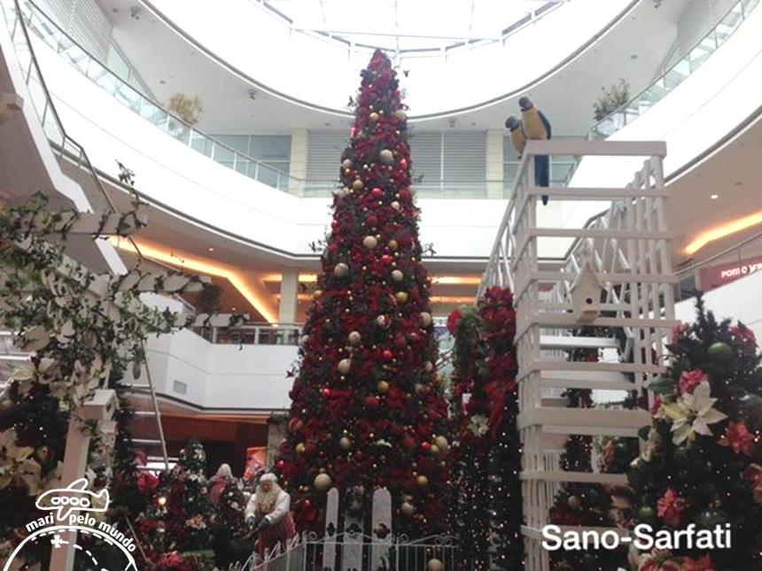 shopping-granja-viana-5-copy