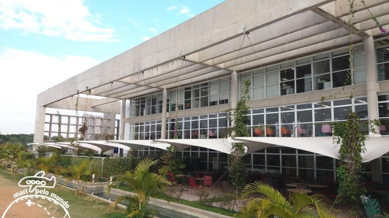 Oficina online de xadrez dá exemplos de mates históricos - Biblioteca  Parque Villa-Lobos