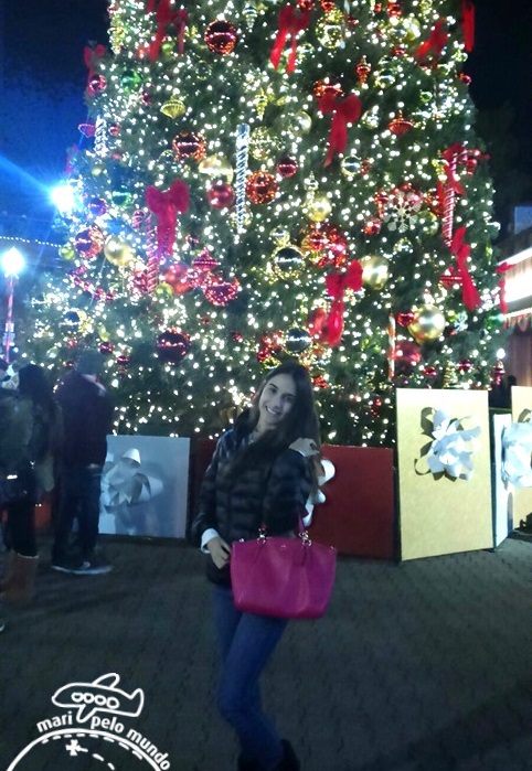 nova-iorque-no-natal-11