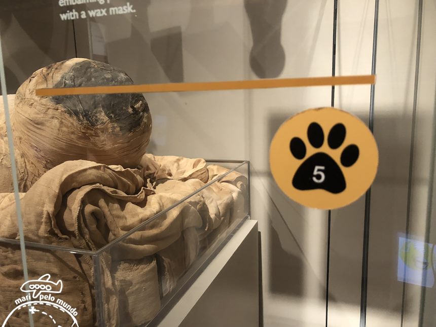 Museu Egipcio de Turim