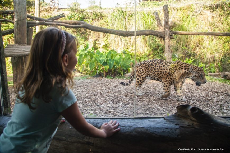 Zoologico de Gramado
