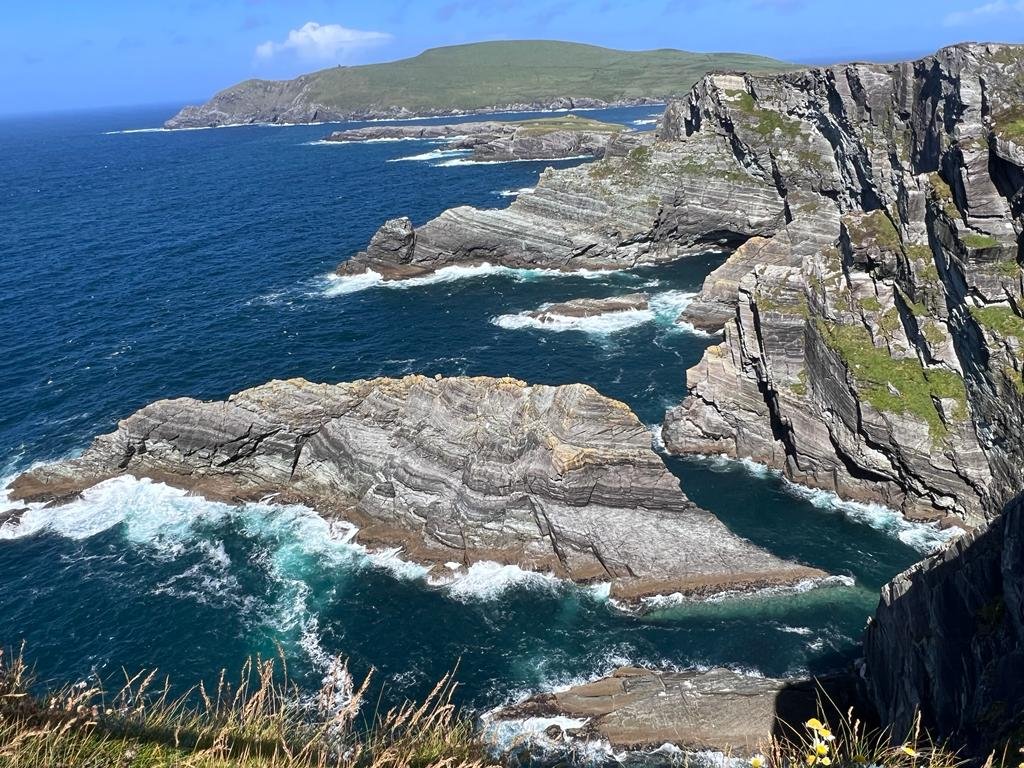Alghe Kombu Bio Irlanda - 50g Per Brodo Dashi E Cucina - Foto 11